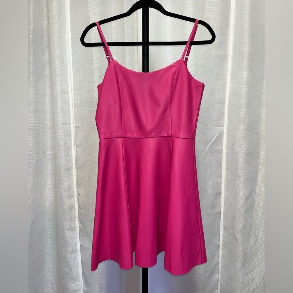 Fate Barbie Pink Vegan Leather Skater Fit & Flare
Style Dress | Size Small
